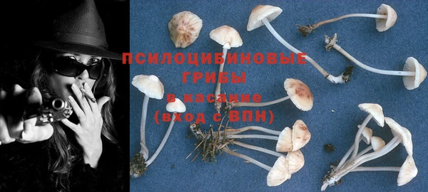MESCALINE Пересвет